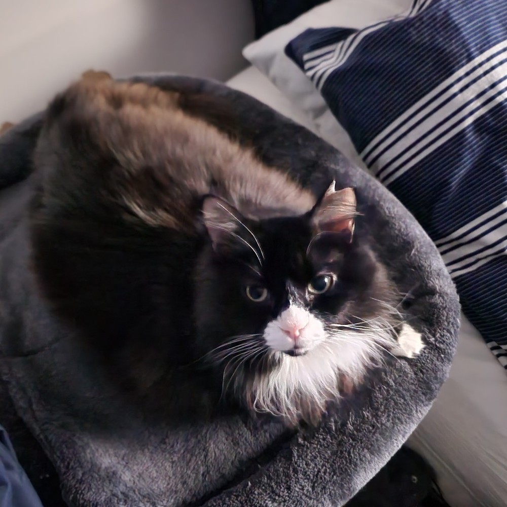 Meet your Posher, Esther